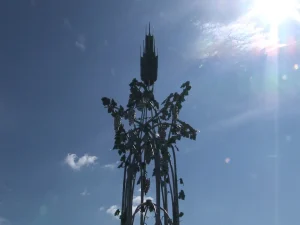 Szekszárd Kilátó fényképe